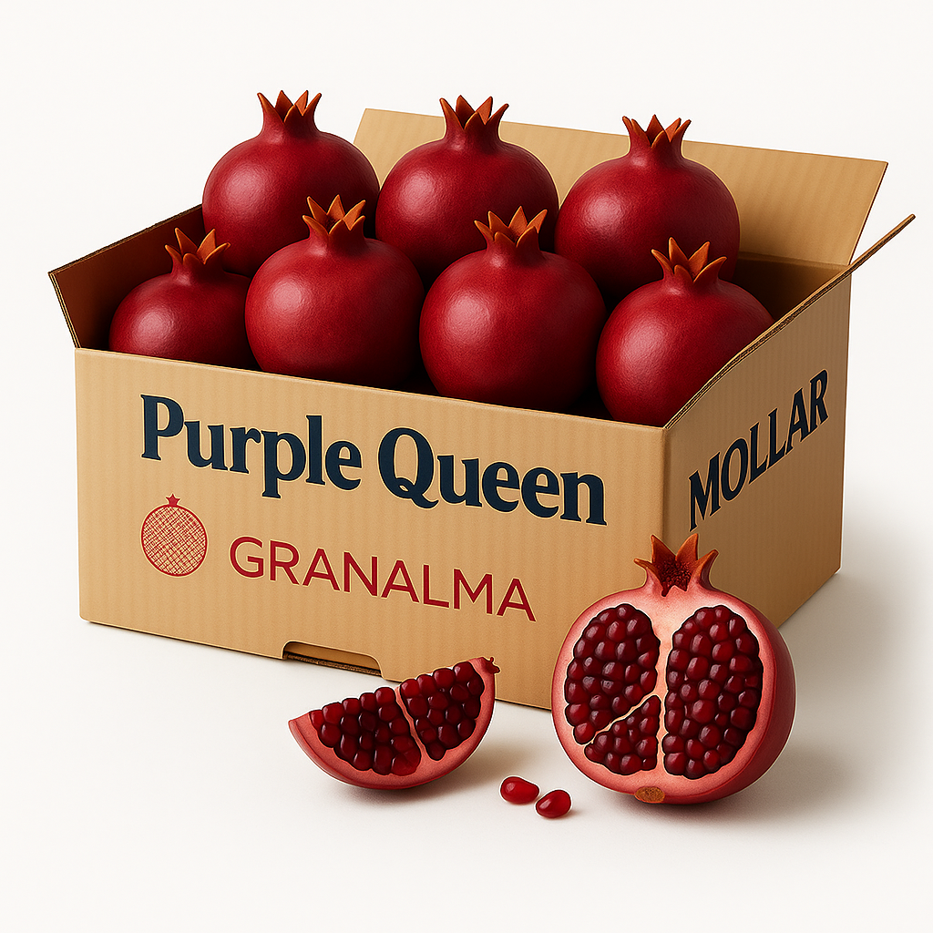 Granadas Purple Queen Caja 4 kg - 10/12 granadas